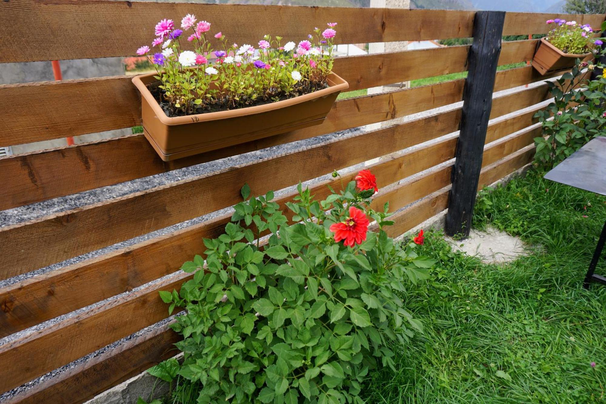 Cottage Caucasus 카즈베기 외부 사진